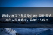 爆料站麻豆下载重磅来袭！刚刚震撼神秘人秘闻曝光，真相让人瞠目