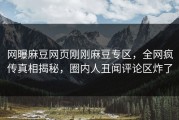 网曝麻豆网页刚刚麻豆专区，全网疯传真相揭秘，圈内人丑闻评论区炸了