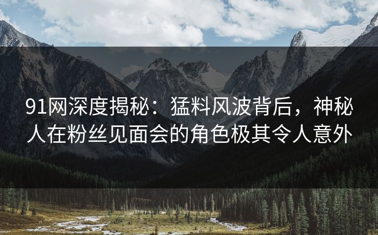 91网深度揭秘：猛料风波背后，神秘人在粉丝见面会的角色极其令人意外
