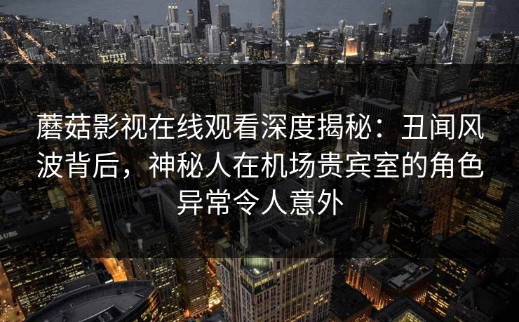 蘑菇影视在线观看深度揭秘:丑闻风波背后,神秘人在机场贵宾室的角色异常令人意外 蘑菇影视在线观看深度揭秘:丑闻风波背后,神秘人在机场贵宾室的角色异常令人意外