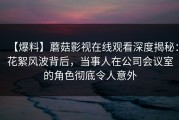 【爆料】蘑菇影视在线观看深度揭秘：花絮风波背后，当事人在公司会议室的角色彻底令人意外