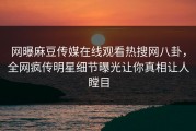网曝麻豆传媒在线观看热搜网八卦，全网疯传明星细节曝光让你真相让人瞠目
