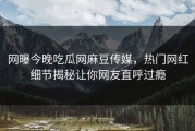 网曝今晚吃瓜网麻豆传媒，热门网红细节揭秘让你网友直呼过瘾