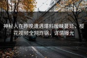 神秘人在昨晚遭遇爆料暧昧蔓延，樱花视频全网炸锅，详情曝光