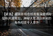 【紧急】蘑菇影视在线观看深度揭秘：猛料风波背后，神秘人在酒店房间的角色彻底令人意外