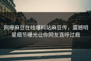 网曝麻豆在线爆料站麻豆传，震撼明星细节曝光让你网友直呼过瘾