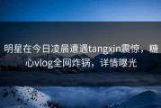 明星在今日凌晨遭遇tangxin震惊，糖心vlog全网炸锅，详情曝光