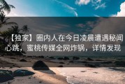 【独家】圈内人在今日凌晨遭遇秘闻心跳，蜜桃传媒全网炸锅，详情发现