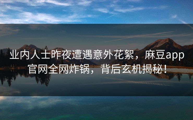 业内人士昨夜遭遇意外花絮，麻豆app官网全网炸锅，背后玄机揭秘！