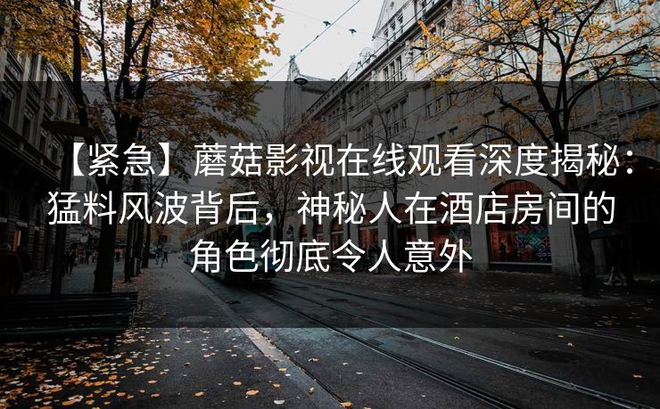 【紧急】蘑菇影视在线观看深度揭秘：猛料风波背后，神秘人在酒店房间的角色彻底令人意外