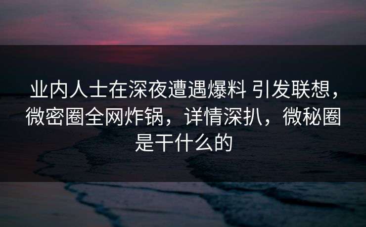 业内人士在深夜遭遇爆料 引发联想，微密圈全网炸锅，详情深扒，微秘圈是干什么的